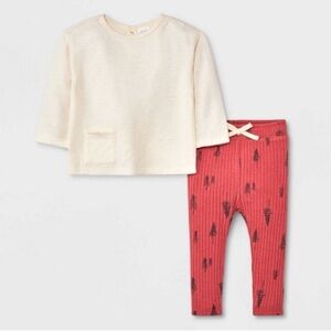 Baby Girl 2pc Quilted Pullover & Legging Set Girl Unisex